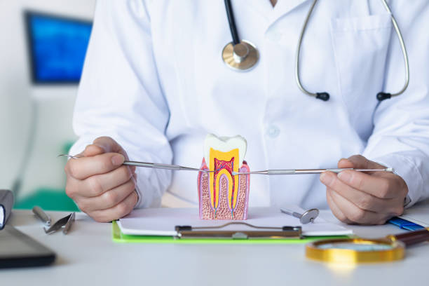 Best Same-Day Emergency Dental Services in Long View, NC